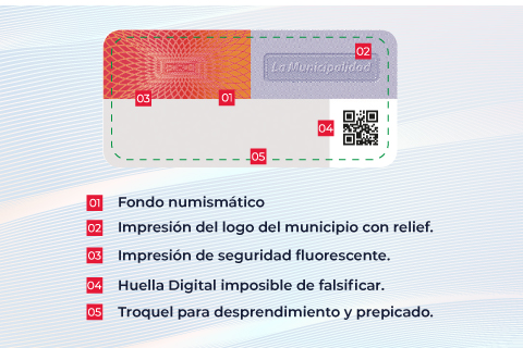 Formato tercera placa